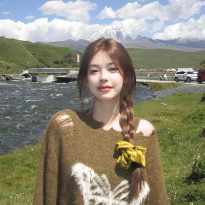 Red Eyes 监视搜查班